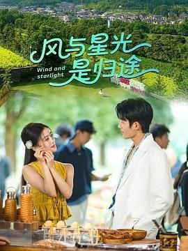 风与星光是归途