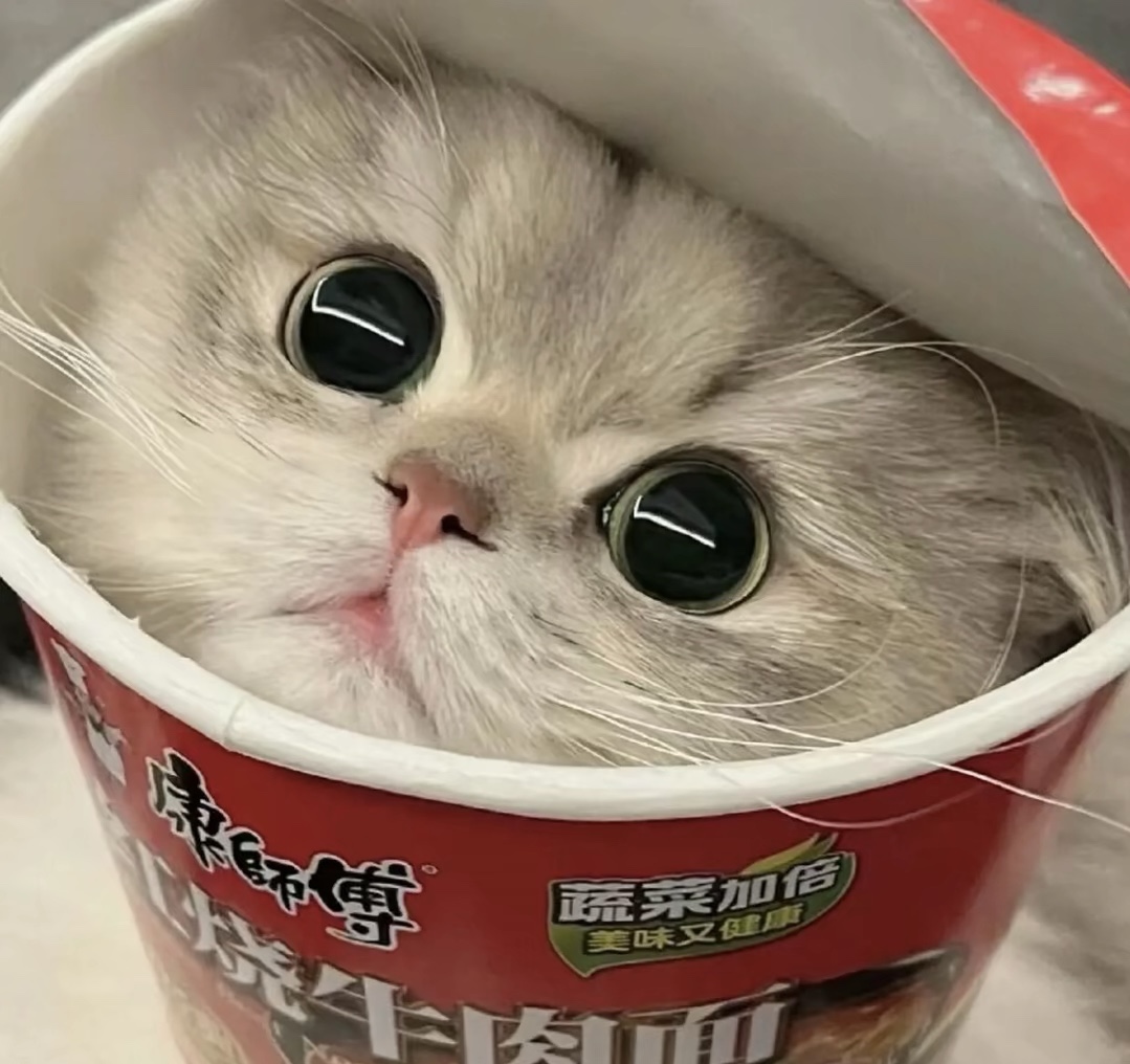 xiao