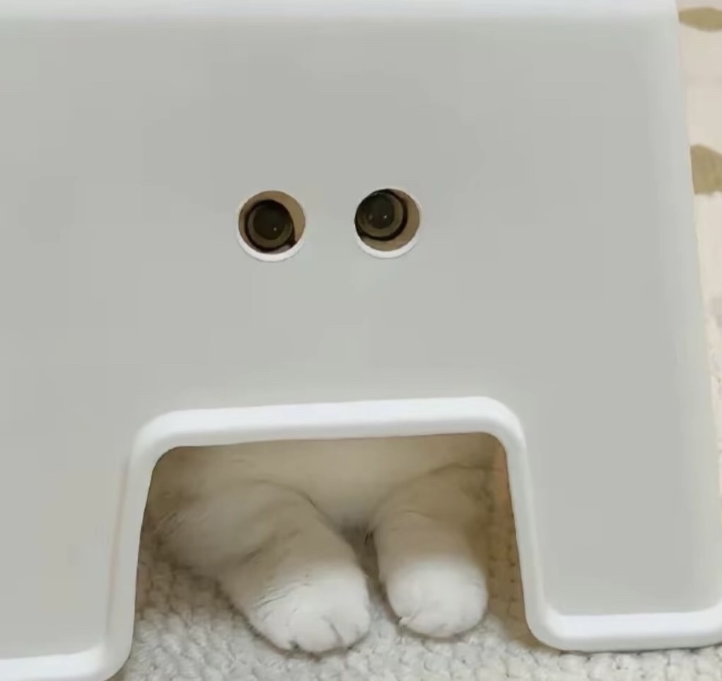 公孙小刀