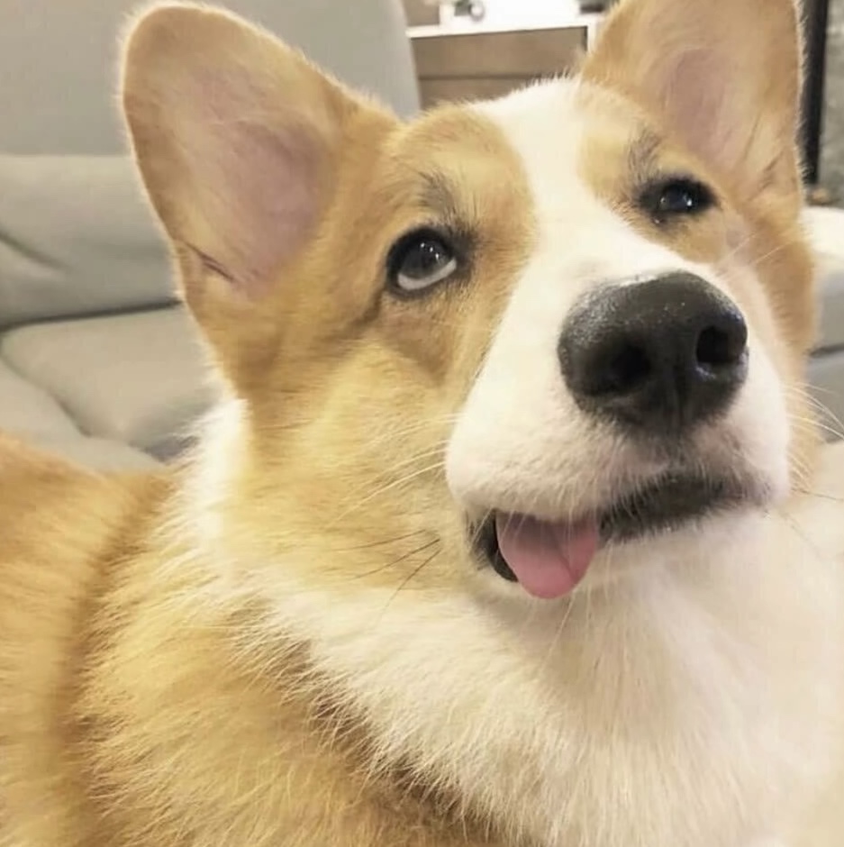 好hig