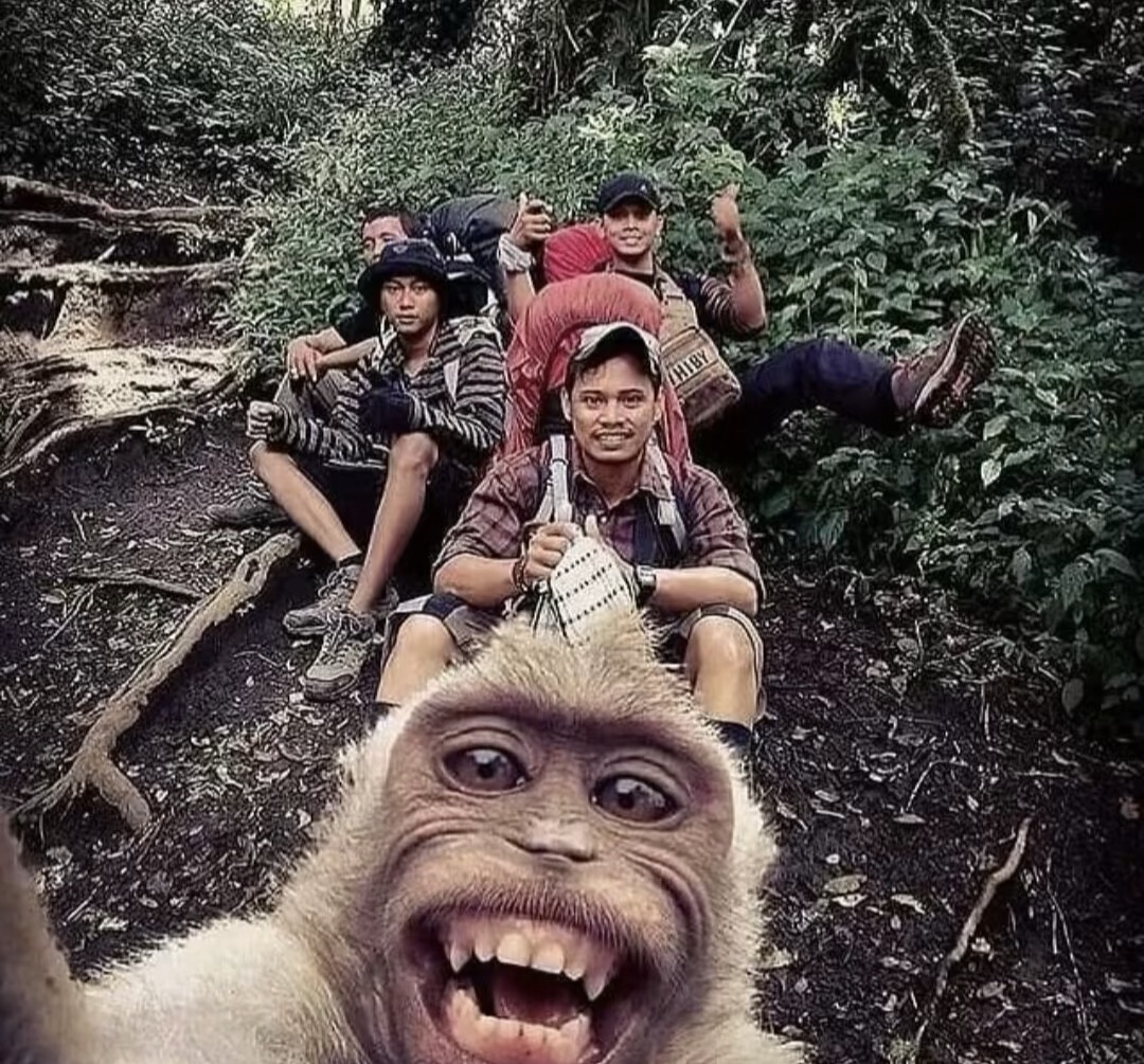 ioiy